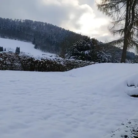 Wilmes アパート *