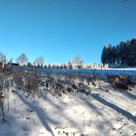 Appartement Wilmes Winterberg