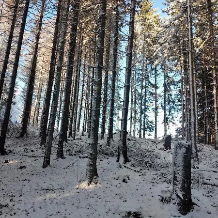 Wilmes ווינטרברג