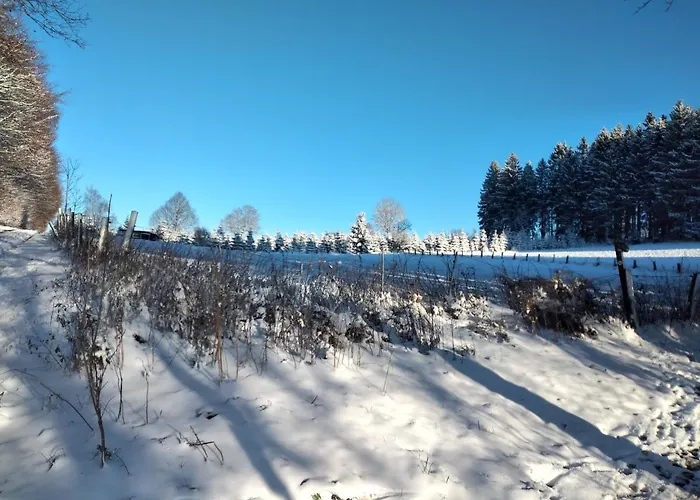 Lejlighed Wilmes Winterberg