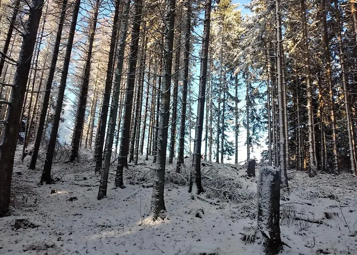 Wilmes Winterberg